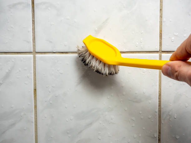 Best Attic Mold Removal  in Middleborough Center, MA