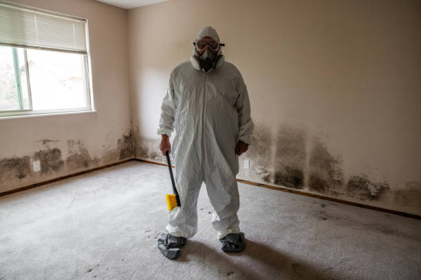 Best Emergency Mold Removal  in Middleborough Center, MA